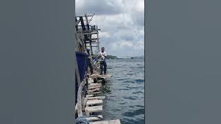 Singapore Kelong Fishing