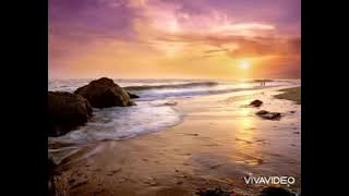 Video alam (no copyright)