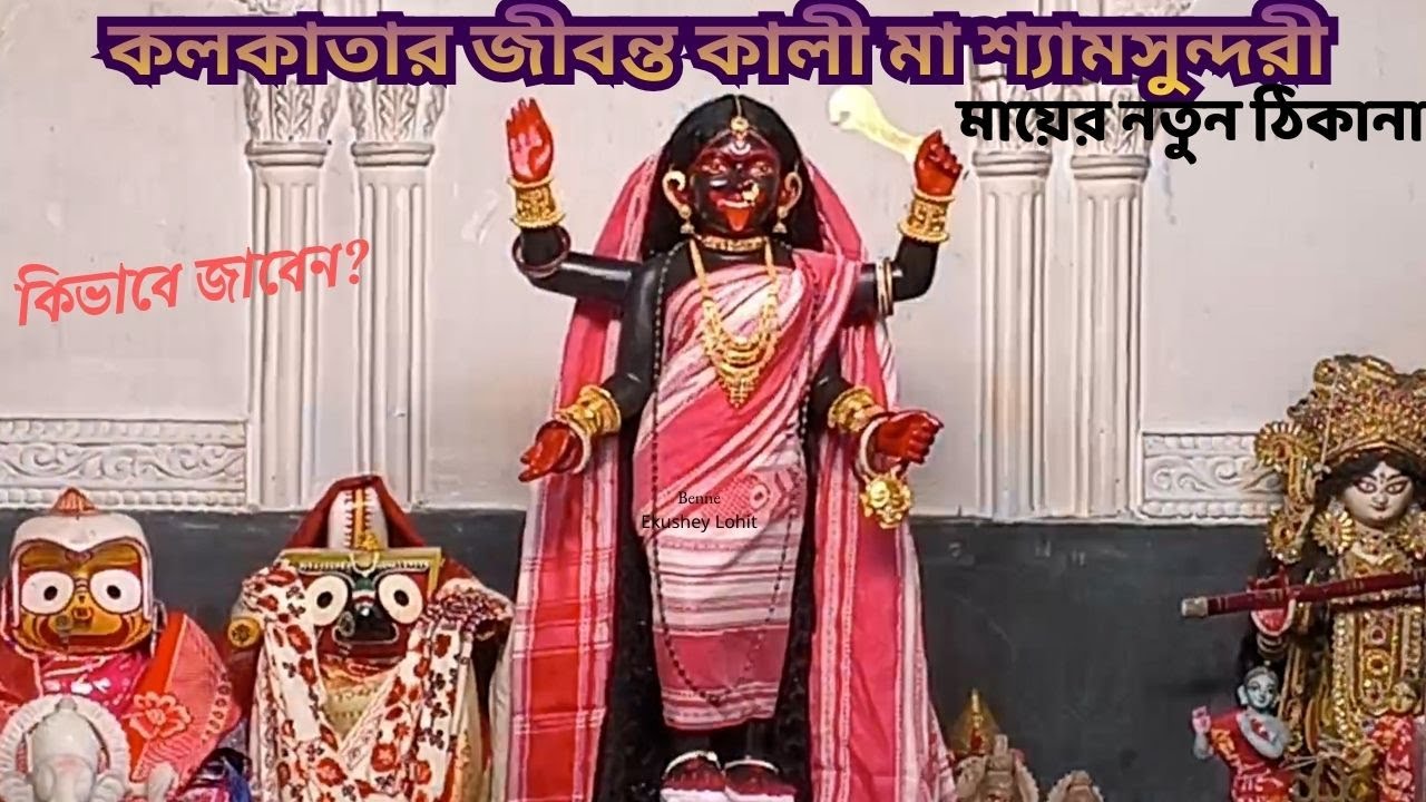 শ্যামসুন্দরী মায়ের মন্দির 🌺 কলকাতার জীবন্ত কালী মা শ্যামসুন্দরী এখন শিয়ালদহে 2026 ।
