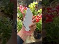 📱 iPhone 17 Air Open Box Available! 🔥📍 SK Mobile,#viral #trending #viralvideo #shorts #like l