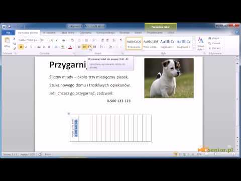 Microsoft Word 2007/2010 - przygotowywanie ogłoszeń cz. II.avi