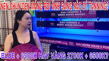 🔴TANNING HUYẾT LONG | ĐÈN MÁNG RDI NÊN CHỌN LOẠI ÁNH SÁNG BLUE +6500K HAY LOẠI ÁNH SÁNG 2700K +6500K