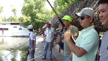 Giải Nhì câu cá tra - Kéo Cá Tra 3kg - thegioicauca.com