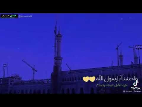 واحشنا يا رسول الله ماهر زين