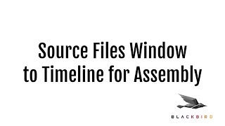 Assembly from the Source Files window to the Timeline