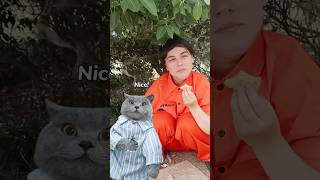 Thumbnail for Wait! Treat Spiders To A Delicious Feast😄🕷️ #catvideos #catmemes #trending