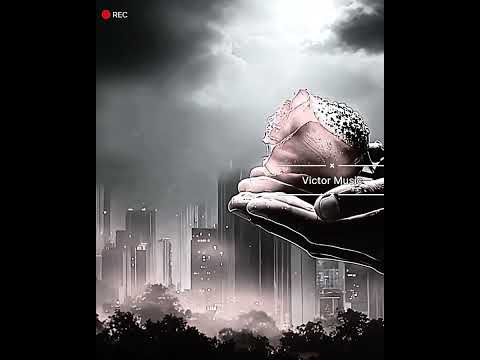 NeoTender Stay a while Video (Victor Music) -  NeoTender Stay a while Video (Victor Music) 