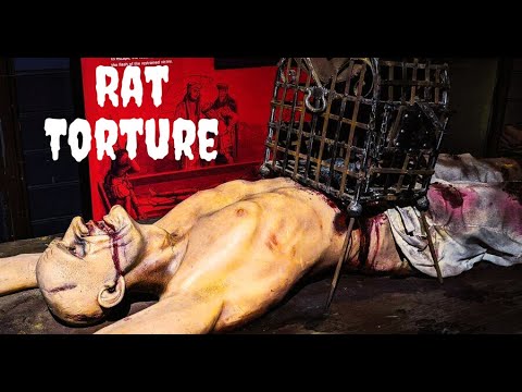 How It Kills You- Rat Torture