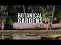 Exploring mauritius botanical gardens  vlog 12