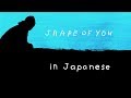 Shape of You - Ed Sheeran [English & 日本語] lyrics