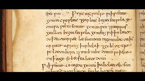 The AncientBiotics Project