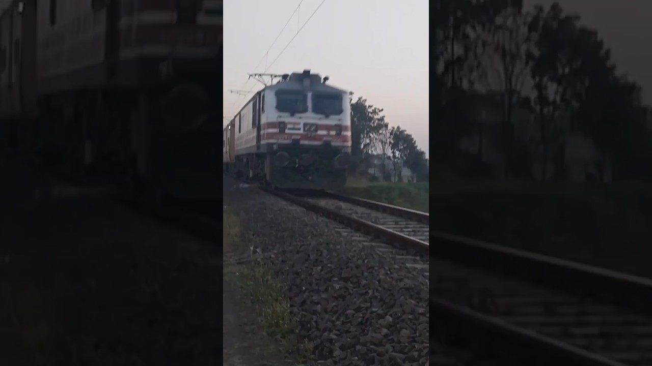 Train white engine 🚂