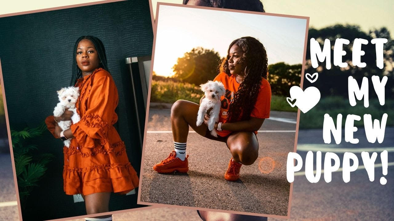 MEET MY NEW PUPPY! QUARANTINE VLOG || TheAdeTomi