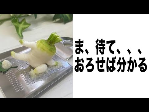 【神回】殿堂入りボケてがマジでツッコミどころ満載すぎるwwwww【第6弾】【新作】