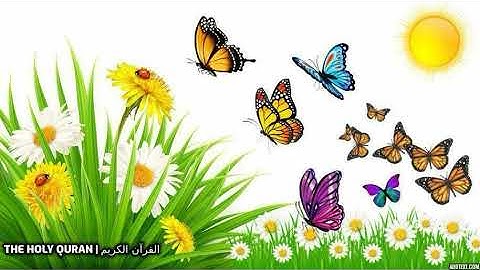 #سورة_محمد بصوت القارئ اسامة صبحي حسين #تلاوة #القرآن_الكريم #قرآن #القرآن #قران