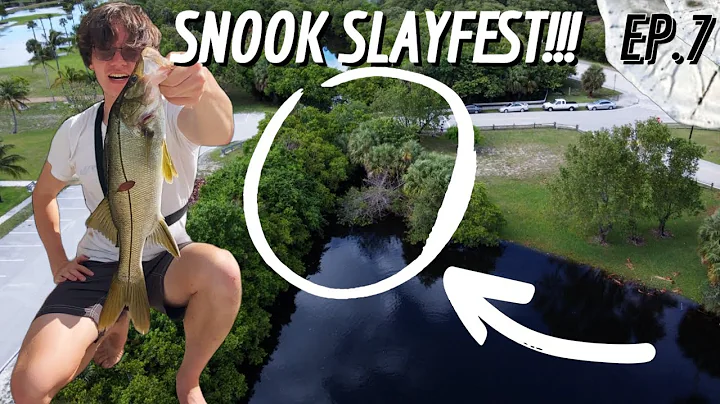 HEAVY RAINS Push ALL THE FISH into A TINY DITCH- SNOOK SLAYFEST!! CHASING SILVER EP.7
