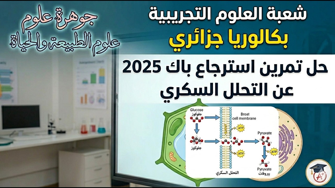 حل تمرين استرجاع باك 2025 عن التحلل السكري