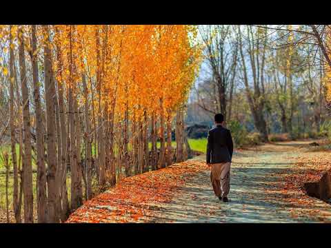 خدا محشر میں پوچھے گا خدا محشر میں پوچھے گا خدا محشر میں پوچھے گا