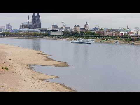 Рейн обновляет рекорд низкого уровня воды: засуха в Германии