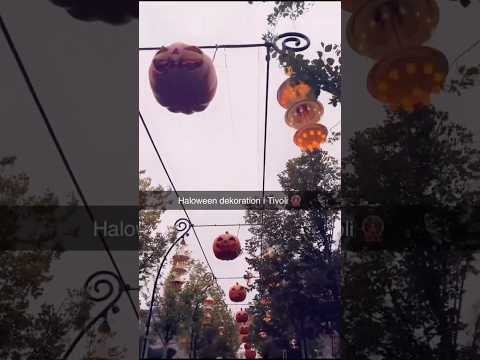 Haloween Decoration In Tivoli Fyp Goviral Misazs