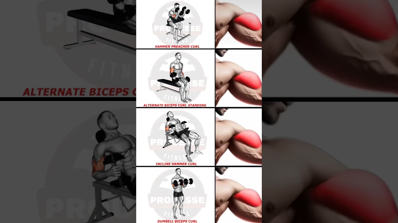 🚀 Grow Huge Biceps Fast – Arm Day Done Right 