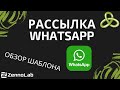 [ZennoDroid] Массовая рассылка в Whatsapp // Видео-конкурс шаблонов