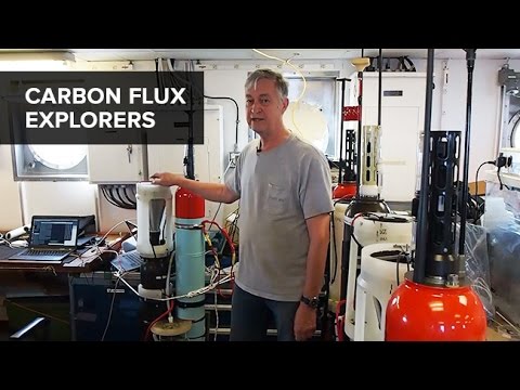 Video: Ce cauzează fluxul de carbon?