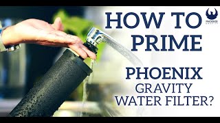 How to prime your Phoenix Carbon Filter cartridge