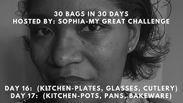 30 Bags in 30 Days  ||  Day 16-Dishes/Day 17-Pots, Pan, Decor  ||  Declutter Challenge