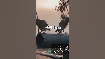 #القرآن_الكريم تلاوة خاشعة سورة الملك الشيخ ماهر المعقلي