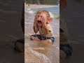 #águia #salvação #macca #macaco