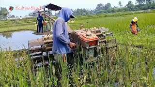 Traktor sawah roda dobel siap hajar lahan dalam