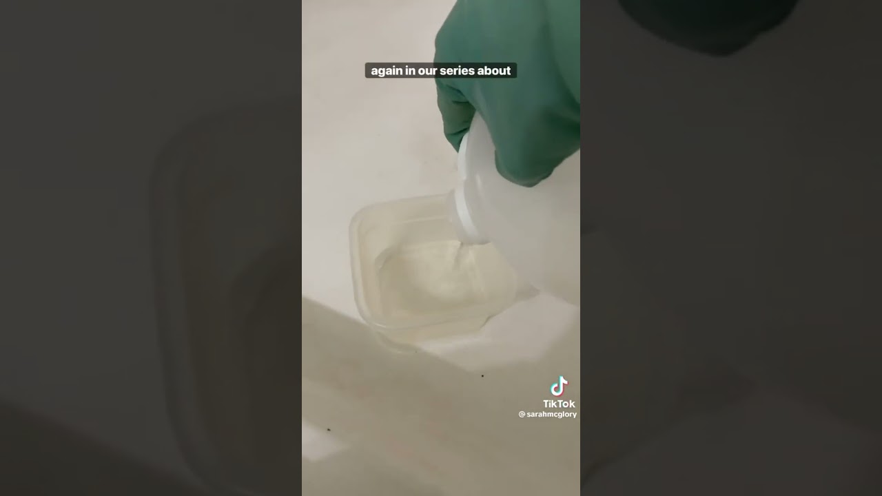 Extremely epic good tips to get the mold stop!!!