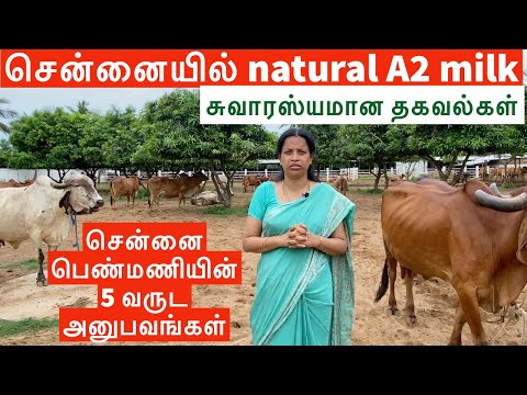 Successful natural dairy farm through better marketing and door delivery in Chennai | A2 Milk