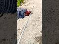 Simple idea #handmade #diy # Hand Crossbow