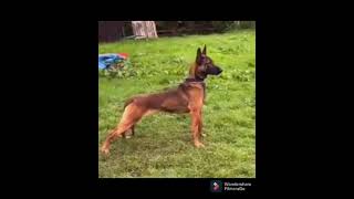 Kima Katxofo M3Ana Drisaj Malinwa W3Re Ou Luna Haja Khra