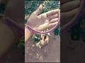 Diy necklace making💎#shortvideo #jewllerymaking #diyjewelry