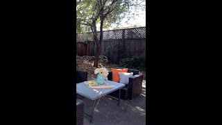 425 West Macarthur Blvd Oakland CA | Presented by Chris VavRosky