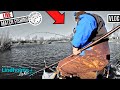 ULTIMATE BOMB & FEEDER CHAMPIONSHIP 2024 | LIVE MATCH FISHING | BAGUPTV 2024