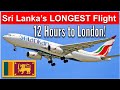 12 hours in sri lankas a330 business class  colombo to london