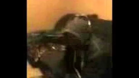 Video from My Phone