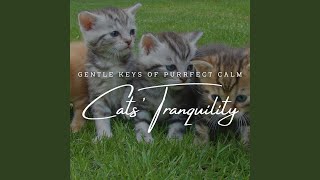 Serene Serenades for Kitties