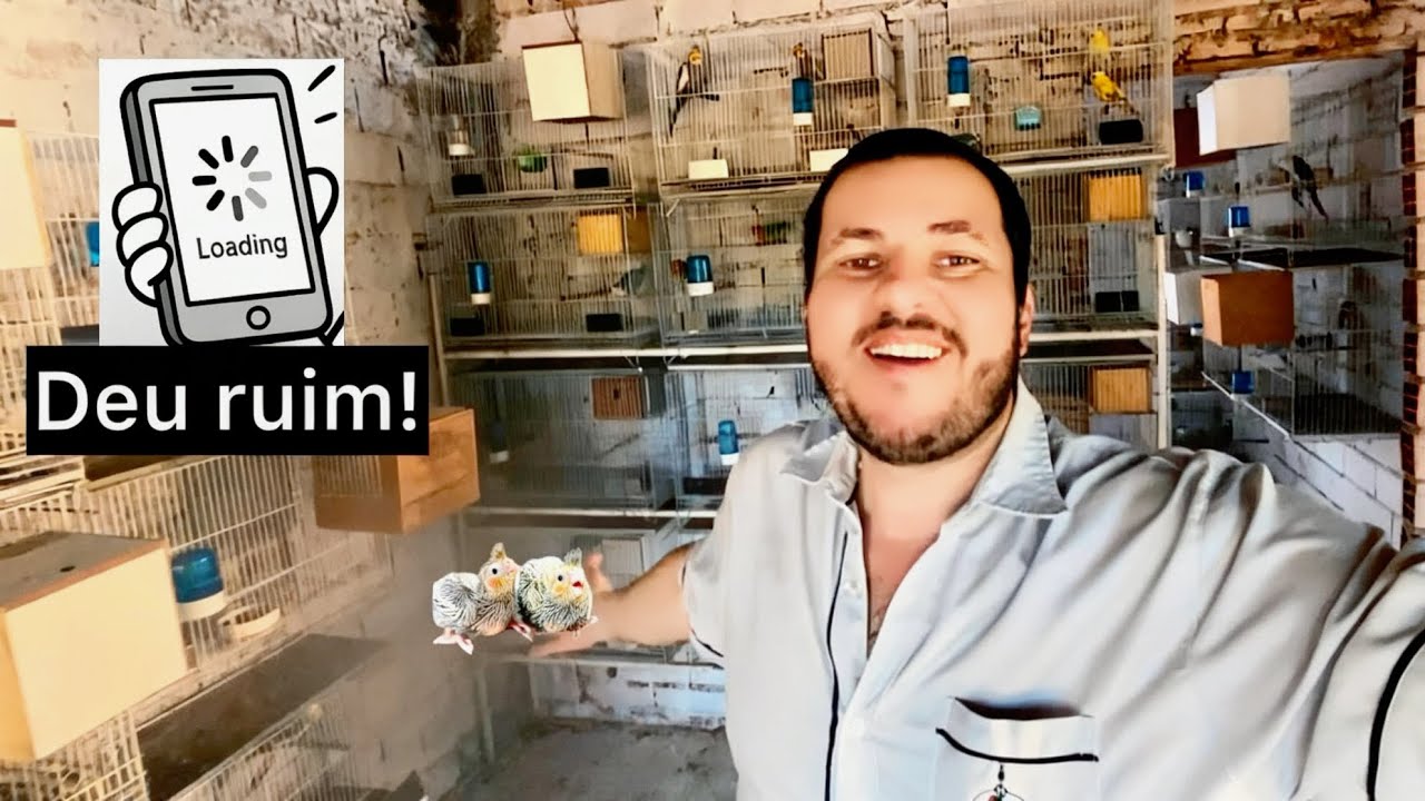 Deu ruim mais tamo firme l muitos bebês  l criatório a todo vapor 