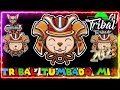 Huapangos Tribal Mix Mayo 2023 - Huapangos Para Bailar 🔥 Tribal Vs. Huapangos 💥 2023 Mix 💥