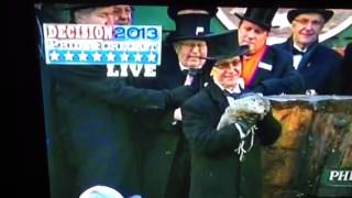 Groundhog Day 2013 VIDEO Punxsutawney Phil Makes Prediction!