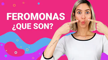 ¿Dónde están la mayoría de las feromonas femeninas?