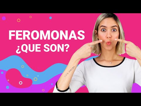 Video: ¿Por qué son importantes las feromonas?