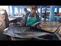 Cut 40kg yellowfin tuna by uncle yakob