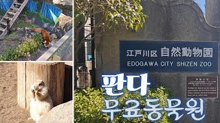도쿄 에도가와구동물원(무료, 판다)