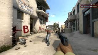 qNA private triggerbot + bhop presentation Wealth